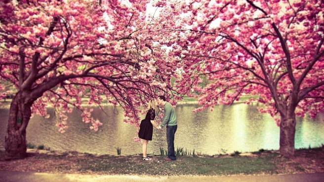 spring-blossom-love-kiss-1024x576