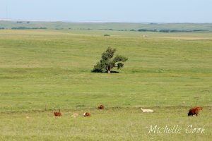 IMG_0192 copy for WP