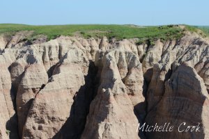 IMG_0207 copy for WP