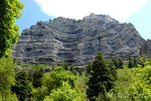 IMG_0534 copy for WP