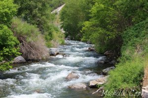 IMG_0546 copy for WP