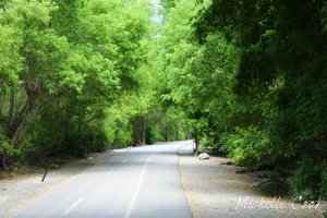 IMG_0552 copy for WP