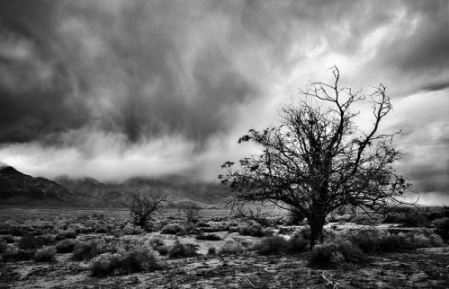 5169285857_7abd519ec2_z