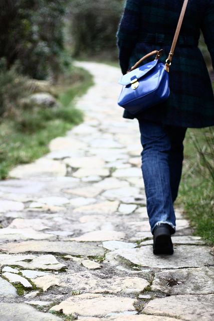 6694606385_e08826d061_z