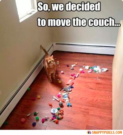 funny-random-pictures-1