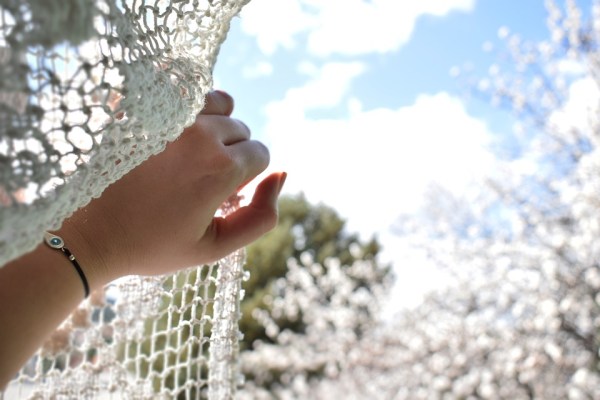 beautiful-3353171_960_720