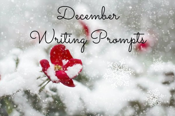 red-rose-1056852_1280