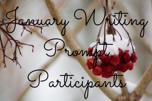 berries-3948579_1280