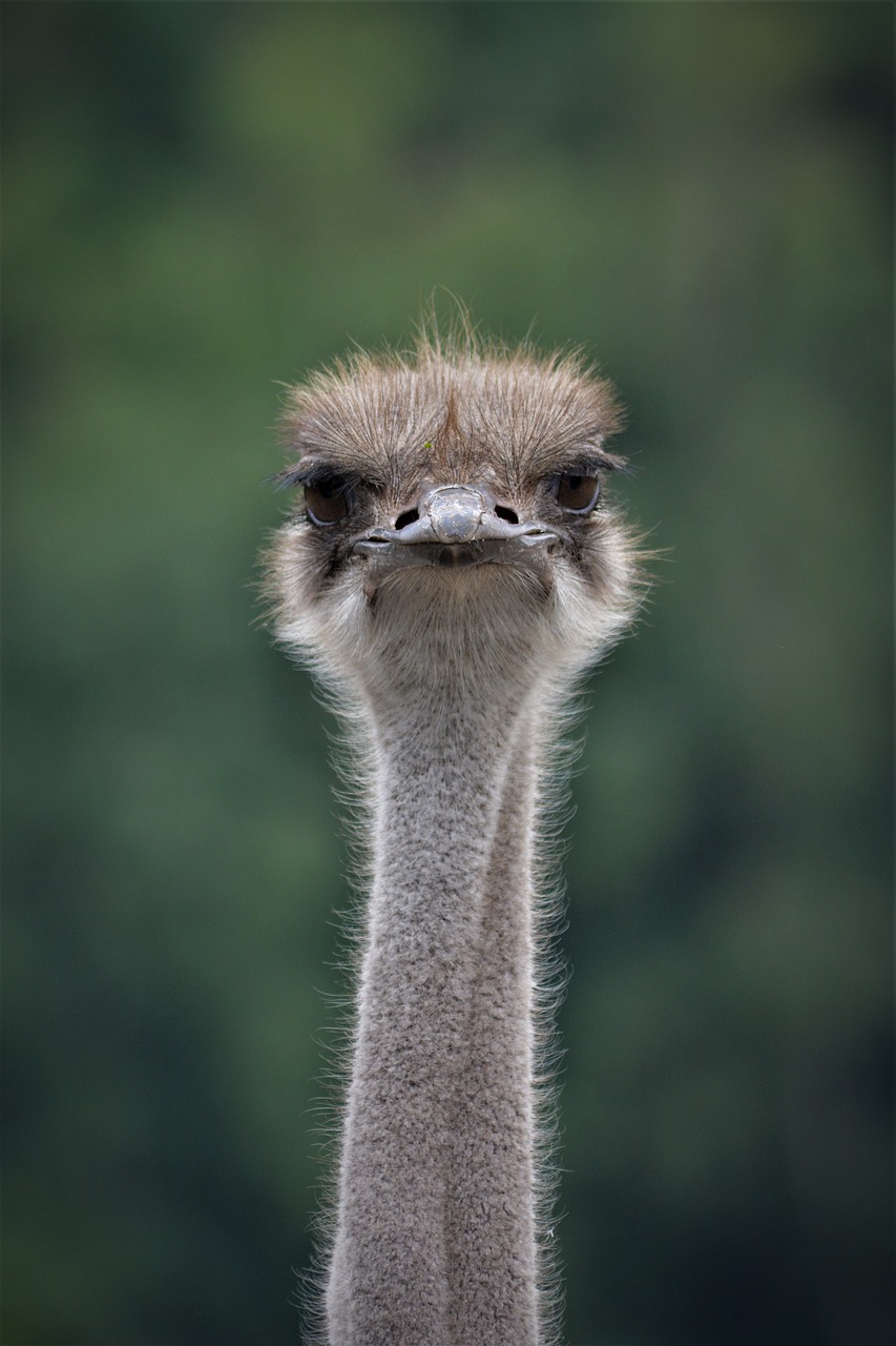 bouquet-3545069_1280